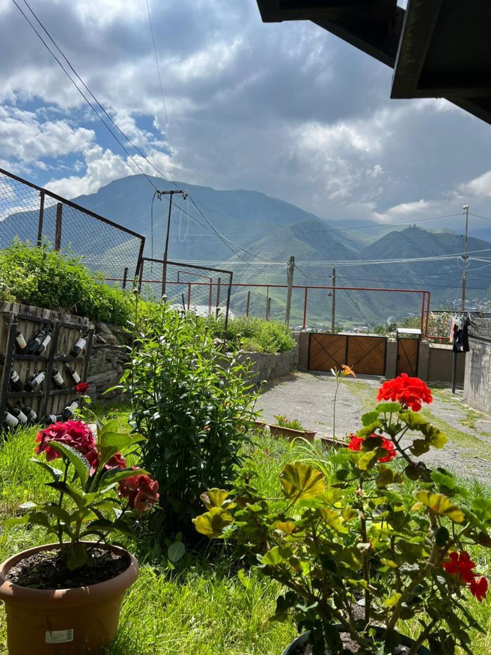 Guesthouse Relax In Kazbegi Exteriör bild